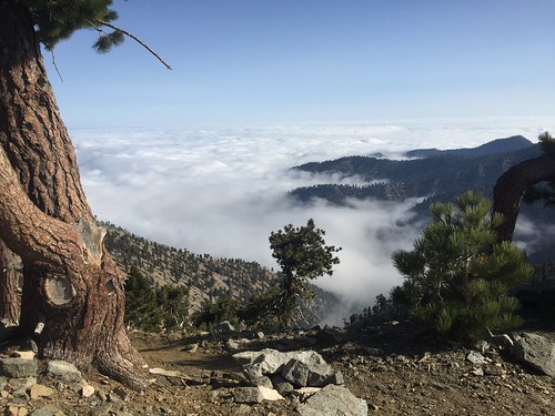 PCT: Day 29