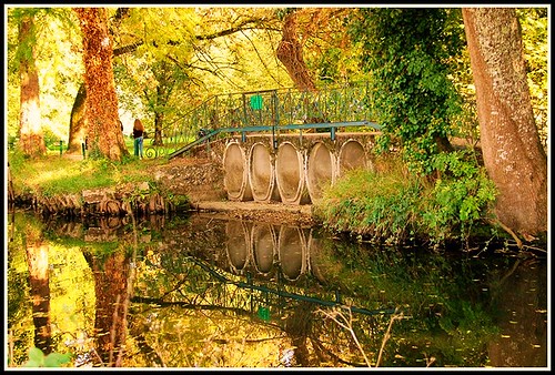 automne nature parc moulineau gradignan bordeaux pont eaubourde rivière coursdeau couleurs lumière teinteschaudes feuillages beauté calme promenade balade