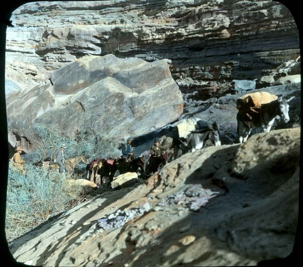 Saddles