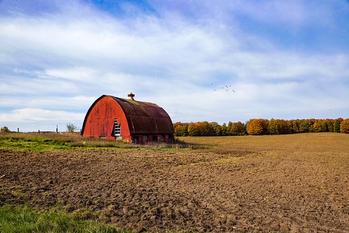 Fall by Leestuar,