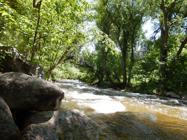 Creek Rush June 19 2013  :  DSCN0275