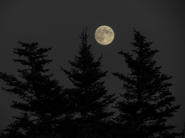 Harvest moon rising, from the top of Cadillac Mountain, Mt Desert Island, Acadia National Park