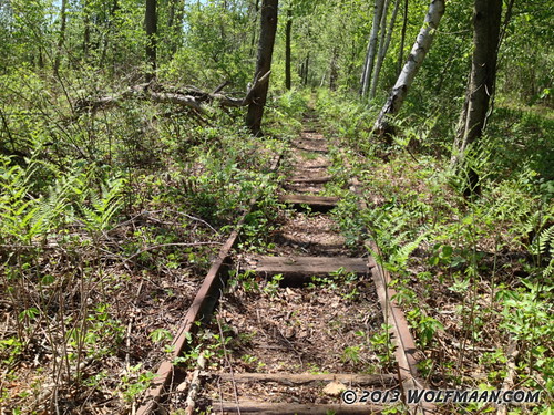 railroad camping ontario canada hiking tracks niagara barefoot bog barfuss wainfleet oudoors