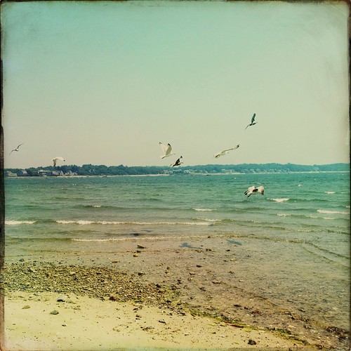 beach sussex seaside gulls doris iphoneography hipstamatic snapseed