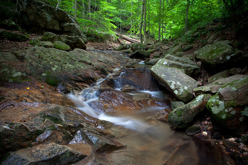 statepark park nature water forest canon outdoors waterfall woods rocks stream maryland falls 1740mm marylandstateparks 5dmarkii