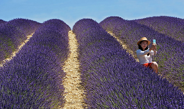 Selfie  en  Provence