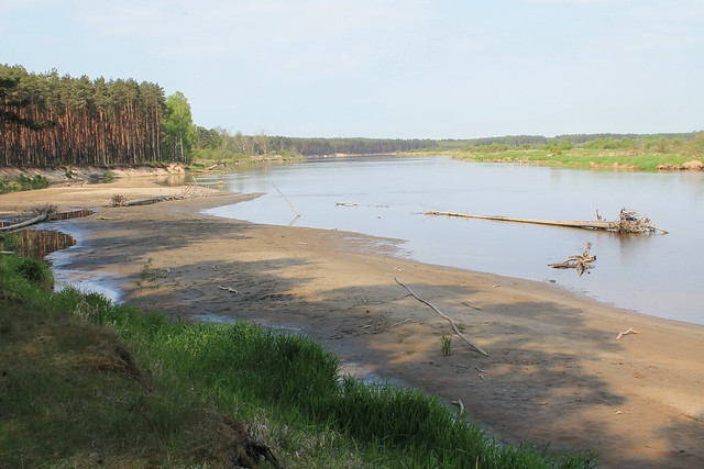 Bug River, Szumin, Mazowsze, Poland