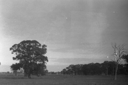 black white exploraw push limits freddie begelhole photography epson perfection 2850 landscape tree sky open simple australia