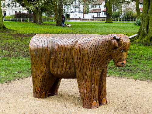 New wooden cow, Bantock Park