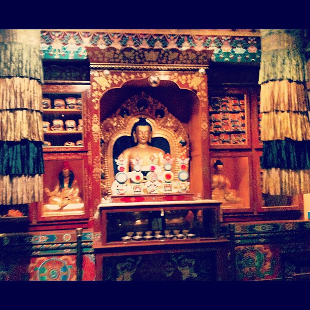 Tibet house last night