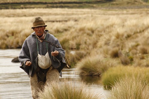 ecuador ozogoche