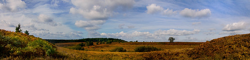 panorama newforest autumn landscape nikon d7000 kencame hampshire october omot