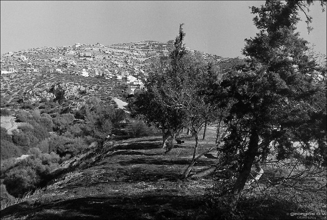 Saronida (western part) - film photography