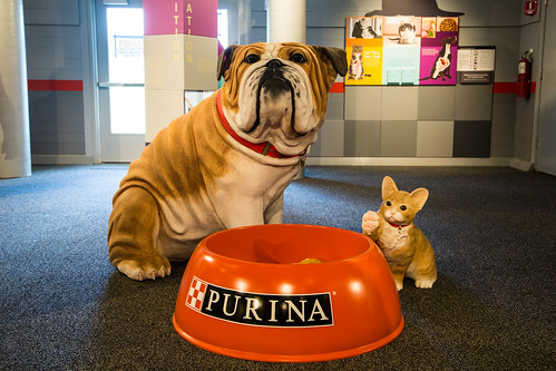 Purina Farms Visitor Center, Better with Pets exhibit | by TaylorStudiosInc