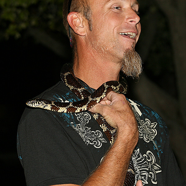 Eastern King Snake Found Outside City Park Pavillion