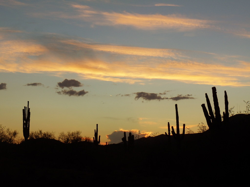 Arizona Desert | Flickr