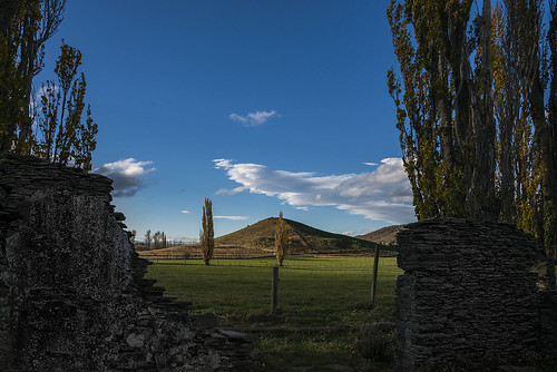 autumn nz otago fruitlands