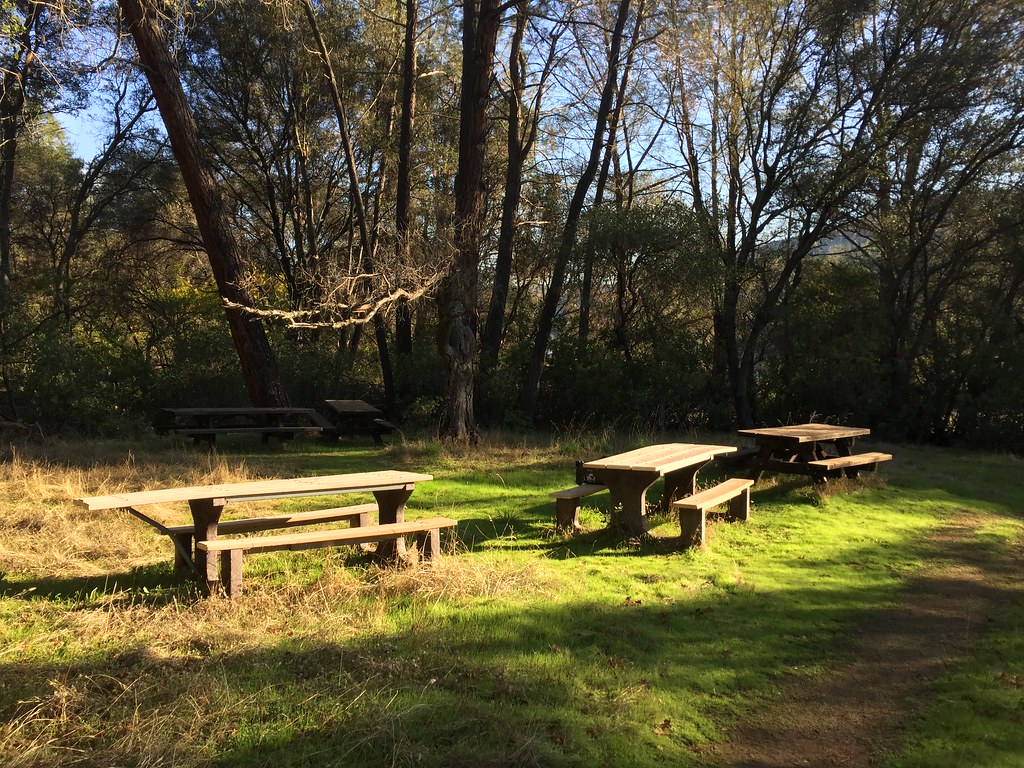 Pioneer Express Trail