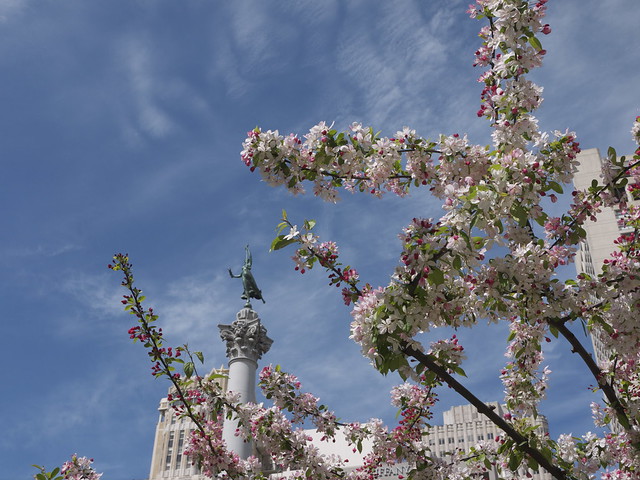 Spring at Union Square
