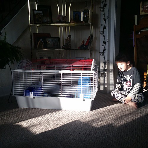 #cute #kid #love #5yrold #kidsofinstagram #smiling #son #bestkid #saturday #bc #bclife #pipin the #hedgehog | by pixielee3