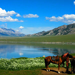 赛里木湖 · 新疆（一）