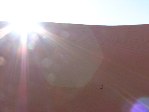 Sand Dunes 039 | by Chandler West