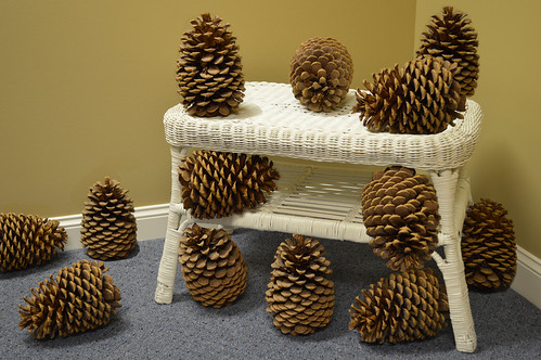 Multiplication-Cones | by jpaquette14
