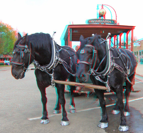 horses flower stereoscopic stereophoto anaglyph iowa parade tulip floats anaglyphs orangecity redcyan 3dimages 3dphoto 3dphotos 3dpictures stereopicture orangecitytulipfest