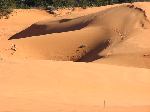 Sand Dunes 042 | by Chandler West