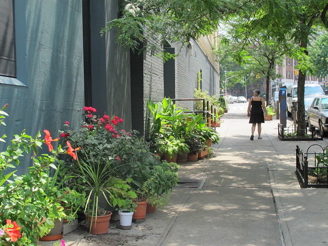 Greenest Block in Brooklyn 2013