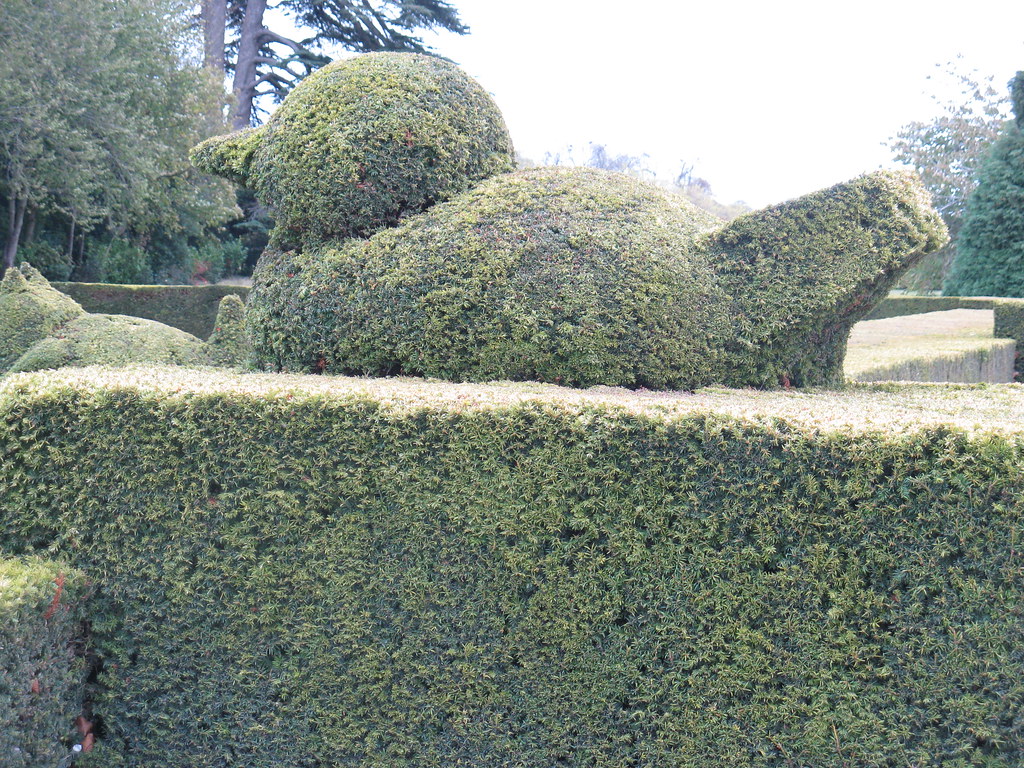 Blenheim Palace - Topiary | Graham Tiller | Flickr