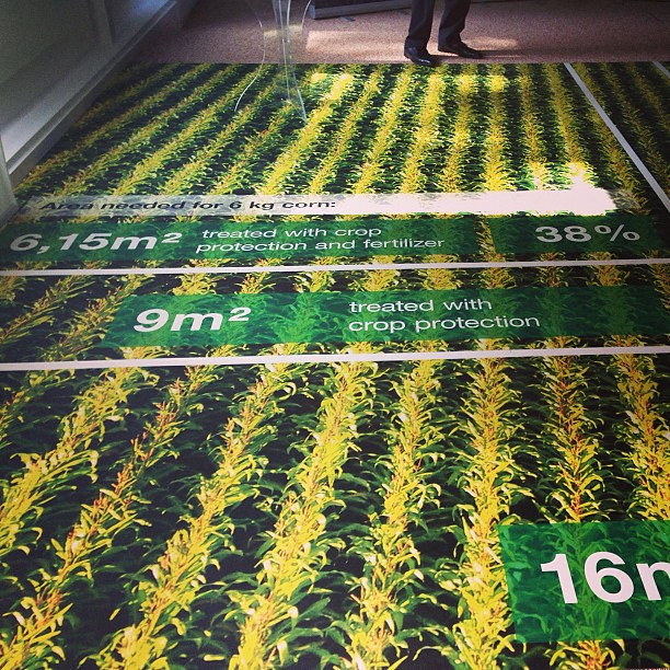 Quanti mq di terra sono necessari produrre 6kg #mais? #basfme2013 @basfagro