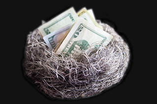 Nest Egg of Cash | by aag_photos