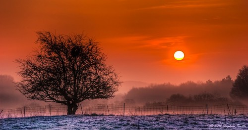 uk trees red sky orange mist colour nature sunrise fence gold dawn countryside spring nikon scenery frost northamptonshire earlymorning april fields hdr lanscape newton 2015 d80 geddington
