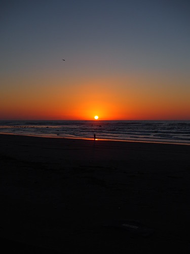 sunset sun coast kisakata nikaho akita japan beach winter sea ocean bird 日没 夕日 象潟 海岸 砂浜 にかほ 秋田 日本 海 日本海 鳥