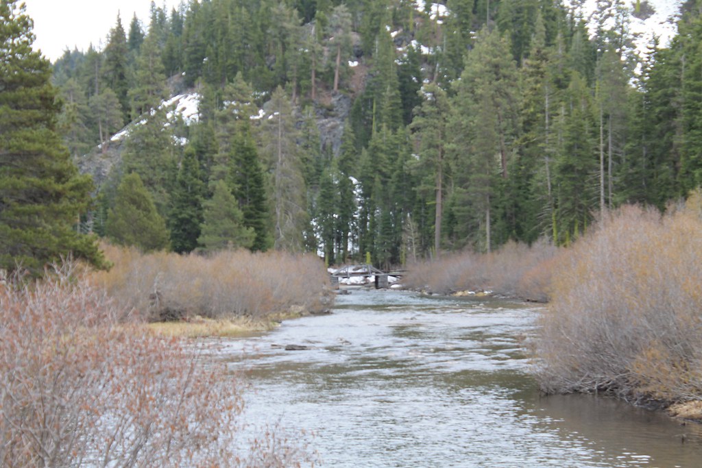 Tahoe Rim Trail