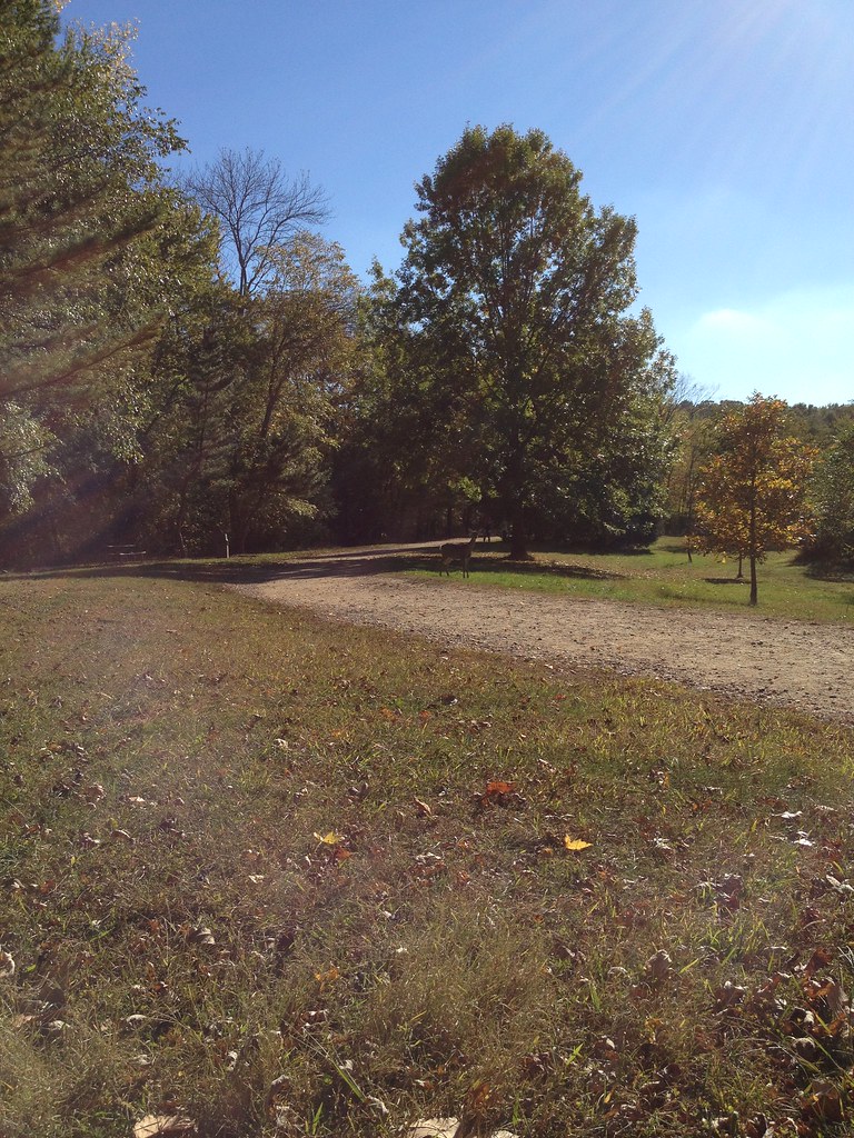 Vista Spur Trail, near Thunderbird Run 2026: Annual Mahwah Schools Foundation 5K Run, 2Mi Walk and Kids Run