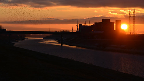 sunrise serbia vojvodina novisad channel bridge water industrial fire cold