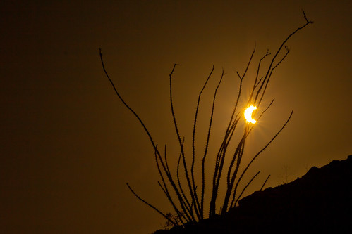 sun sol geotagged solar eclipse desert anzaborrego eclipse2012 geo:lat=32907219 geo:lon=116204556