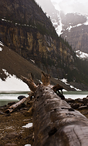 Driftwood Lengthwise -- Moraine Lake | by DCZwick