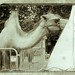 Vom Kamel im Rahmen