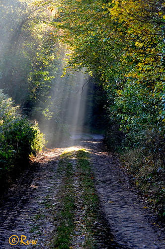 October morning | by R. Van Wallendael