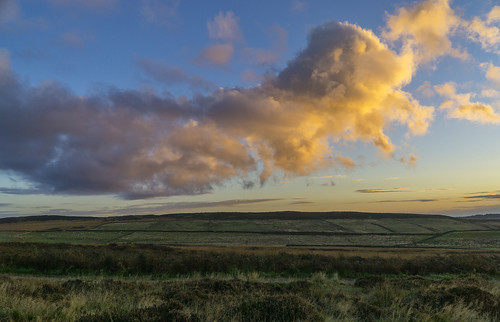landscape derbyshire peakdistrict darkpeak goldenhour sunrise curbaredge whiteedge heather moorland clouds cloudscape easternmoorspartnership