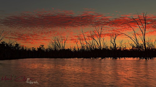 reflection water silhouette clouds sunrise canon river australia nsw 5d outback hay plains 1740mm murrumbidgee ef1740mmf40lusm hayplains haynsw 5dmarkiii markcooperphotography