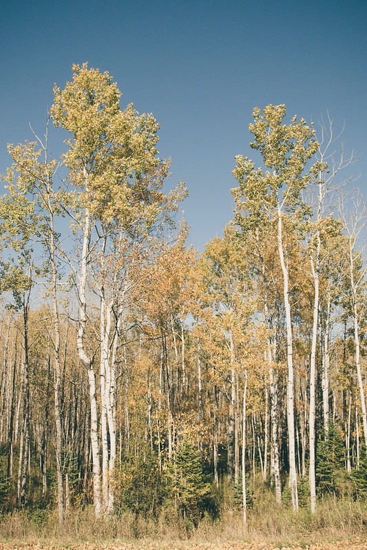 Moose Lake, along the trail