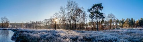 belgië seizoenen landschap averbodebosheide winter belgium landscape seasons