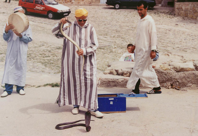 Snake Charmer in Tangier Morocco