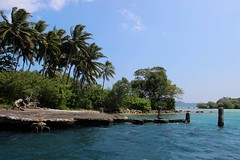 IMG_3271 Ghavutu Island Solomon Islands