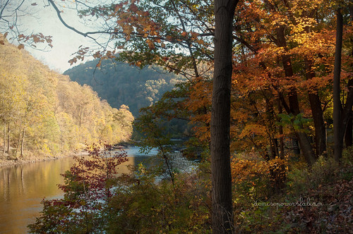 autumn vacation fall texture nature vintage river landscape outdoors october westvirginia appalachia cheatriver 2012 waterscape kimklassen onethousandgifts