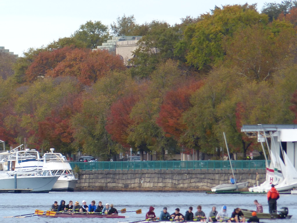 Practice on the Charles Fall 2012 | BC High Rowing | Flickr